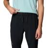 Columbia Mens Endless Trail Training Pant II(Black)