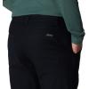 Columbia Mens Flex ROC II Lined Pant(Black)