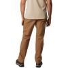 Columbia Men’s Flex ROC Utility Pant(Delta)