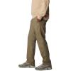 Columbia Men’s Flex ROC Utility Pant(Stone Green)