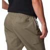 Columbia Mens Rapid Rivers Cargo Pant(Stone Green)