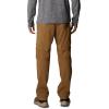 Columbia Mens Silver Ridge Utility Convertible Hiking Pant(Delta)