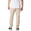 Columbia Mens Terminal Roamer Stretch Pant(Ancient Fossil)