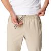 Columbia Mens Terminal Roamer Stretch Pant(Ancient Fossil)