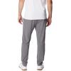 Columbia Mens Terminal Roamer Stretch Pant(City Grey)
