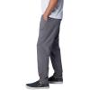 Columbia Mens Terminal Roamer Stretch Pant(City Grey)