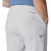 Columbia Mens Terminal Roamer Stretch Pant(Cool Grey)
