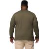 Columbia Mens Thistletown Hills Raglan Henley(Greenscape Heather)