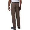 Columbia Sportswear Silver Ridge Cargo Pant(Brown)