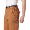 Columbia Sportswear Silver Ridge Cargo Pant(Camel Brown)