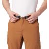 Columbia Sportswear Silver Ridge Cargo Pant(Camel Brown)