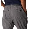 Columbia Sportswear Silver Ridge Cargo Pant(City Grey)
