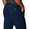 Columbia Sportswear Silver Ridge Cargo Pant(Collegiate Navy)