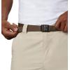 Columbia Sportswear Silver Ridge Cargo Pant(Fossil)