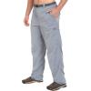 Columbia Sportswear Silver Ridge Cargo Pant(Grey Ash)