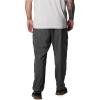 Columbia Sportswear Silver Ridge Cargo Pant(Grill)