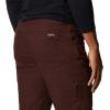 Columbia Sportswear Silver Ridge Cargo Pant(Red Lodge)
