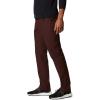 Columbia Sportswear Silver Ridge Cargo Pant(Red Lodge)