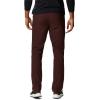 Columbia Sportswear Silver Ridge Cargo Pant(Red Lodge)