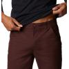 Columbia Sportswear Silver Ridge Cargo Pant(Red Lodge)