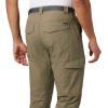 Columbia Sportswear Silver Ridge Cargo Pant(Sage)