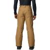 Columbia mens Bugaboo V Pant(Delta)