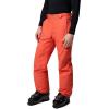 Columbia mens Bugaboo V Pant(Zing)