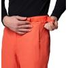 Columbia mens Bugaboo V Pant(Zing)