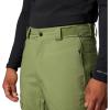 Columbia mens Powder Stash PantPowder Stash Pant(Canteen/Black)