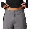 Columbia mens Powder Stash PantPowder Stash Pant(City Grey)