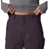 Columbia mens Powder Stash PantPowder Stash Pant(Dark Purple)