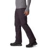Columbia mens Powder Stash PantPowder Stash Pant(Dark Purple)