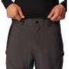 Columbia mens Powder Stash PantPowder Stash Pant(Shark)