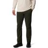 Columbia Mens Landroamer Ripstop Pant II(Greenscape)