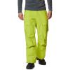 Bright Chartreuse