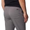 Columbia Mens Sage Peak Chino Pant(City Grey)