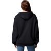 Columbia womens Aldermore Hoodie(Black)