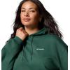 Columbia womens Aldermore Hoodie(Rain Forest)