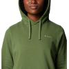 Columbia womens Trek Graphic Hoodie(Canteen/Linear Land)