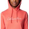 Columbia womens Trek Graphic Hoodie(Juicy/Scripted Brand)