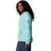 Columbia womens Trek Graphic Hoodie(Spray/Gem Columbia Sleeve)