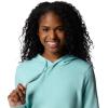 Columbia womens Trek Graphic Hoodie(Spray/Gem Columbia Sleeve)