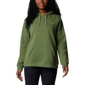 Columbia womens Trek Graphic Hoodie(Canteen/Linear Land)