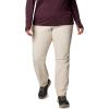 Columbia Womens Leslie Falls II Stretch Pant(Dark Stone)