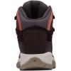 Columbia Women’s Newton Ridge Plus Waterproof Amped Hiking Boot(Timber/Cinder)