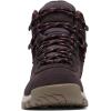 Columbia Women’s Newton Ridge Plus Waterproof Amped Hiking Boot(Timber/Cinder)