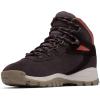 Columbia Women’s Newton Ridge Plus Waterproof Amped Hiking Boot(Timber/Cinder)