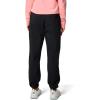 Columbia Womens Tidal Roamer II Stretch Pant(Black)