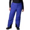 Columbia womens Bugaboo II Pant(Clematis Blue)