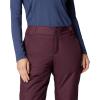 Columbia womens Bugaboo II Pant(Moonvista)